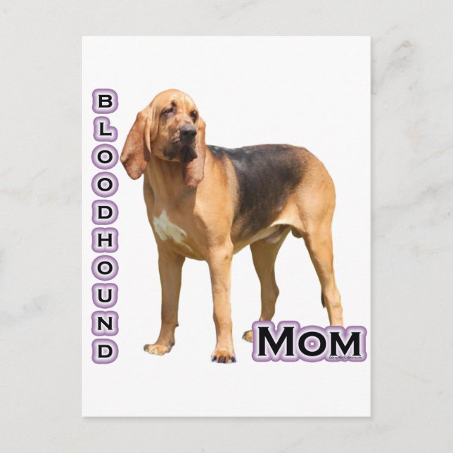 Carte Postale Bloodhound Maman 4 (Devant)