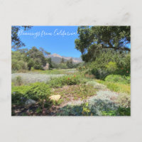 Bloomings de Californie : Western Columbine