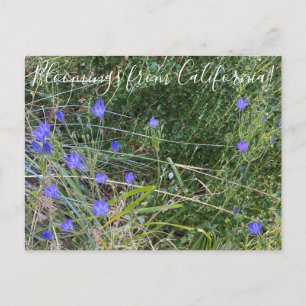 Carte Postale Bloomings from California : la Spear d'Ithuriel