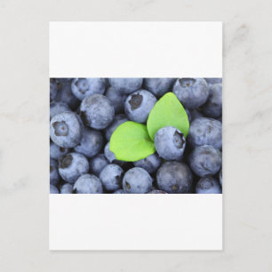 Carte Postale Blue Berries Fruit Peace Love Destiny Party Art