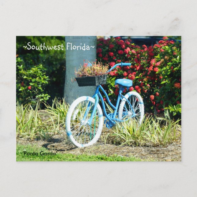 Carte postale Blue Bicycle Sud-Ouest de la Floride (Devant)