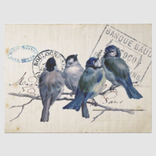 Carte Postale Blue Bird Chickadee French Postmark Tissue Paper