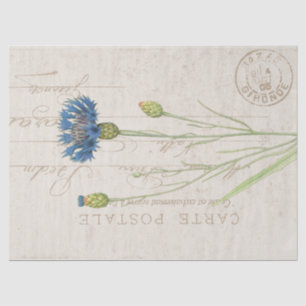 Carte Postale Blue Cornflower Floral Vintage Tissue Paper