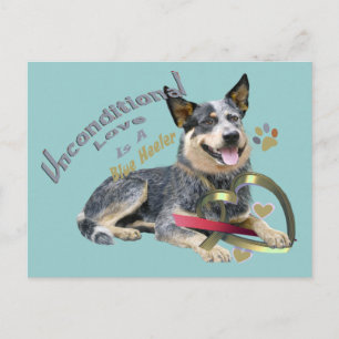 Carte Postale Blue Heeler Amour inconditionnel