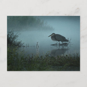 Carte postale Blue Heron