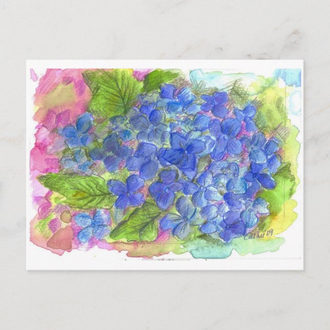 Carte Postale Blue Hydrangea Watercolor Art (Devant)