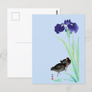 Carte Postale Blue Irises and Moorhens par Ohara Koson