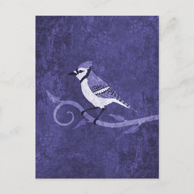 Carte postale Blue Jay (Devant)