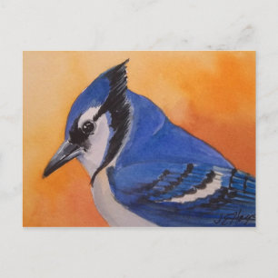 Carte postale Blue Jay