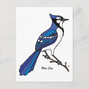 CARTE POSTALE BLUE JAY