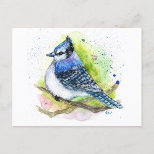 Carte Postale Blue Jay