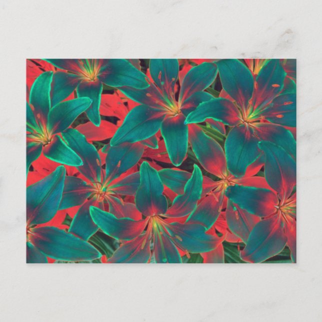 Carte postale Blue Lilies (Devant)