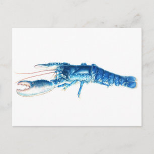 Carte Postale Blue lobster fine art watercolor postcard