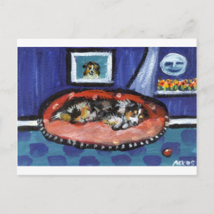 Carte Postale Blue Merle Australian Shepherd dans le lit