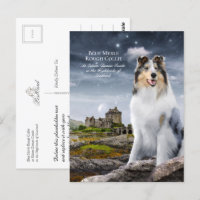 Blue Merle Rough Collie à Eilean Donan Castle -