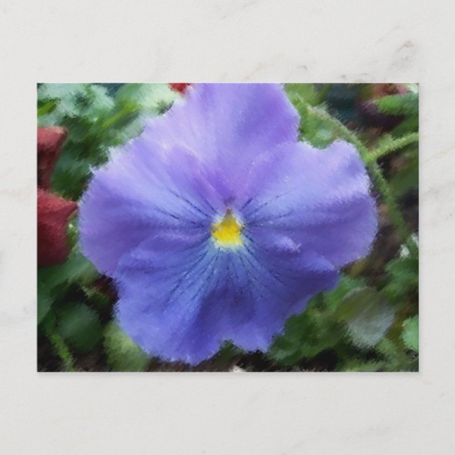 Carte postale Blue Pansy (Devant)