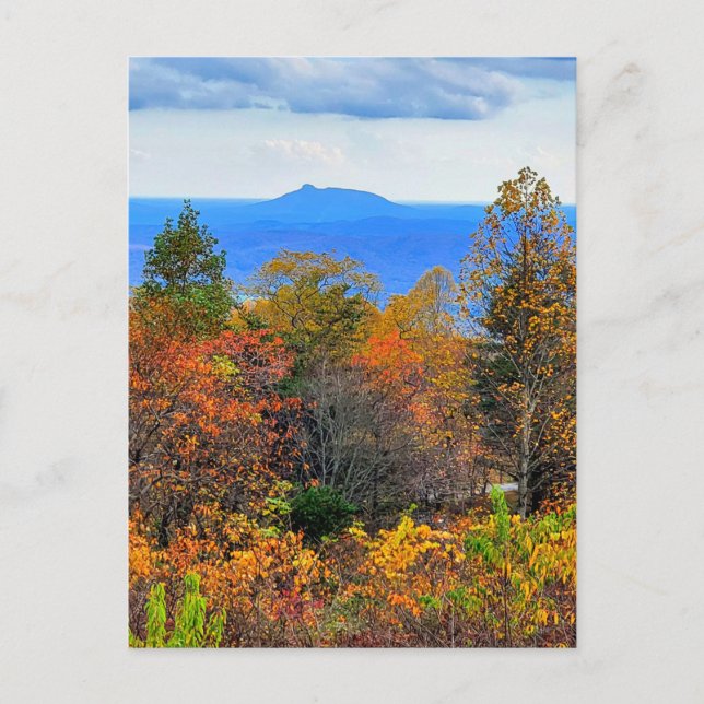 Carte Postale Blue Ridge Parkway Fall Vue sur Pilot Mountain (Devant)