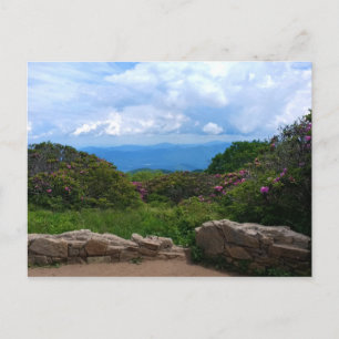 Carte postale Blue Ridge Spring