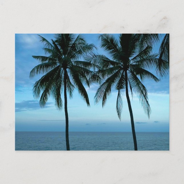 Carte Postale Blue Sky Blue Ocean (Devant)