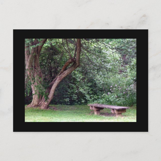 Carte Postale Blue Spruce Park #3 (Devant)