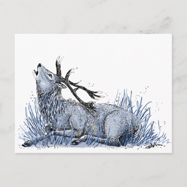 Carte postale Blue Stag (Devant)
