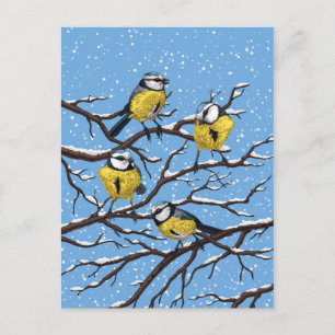 Carte Postale Blue tit birds en hiver