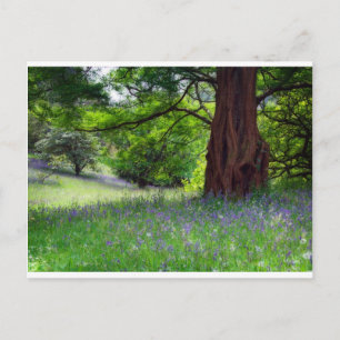 Carte Postale Bluebells anglais