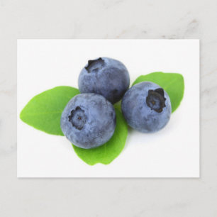 Carte Postale Blueberry