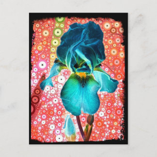 Carte postale Blueberry Iris