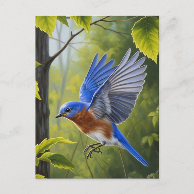 Carte Postale Bluebird (Devant)