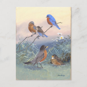 Carte Postale Bluebird et Robin Vintage