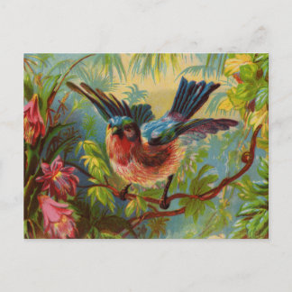 Carte postale Bluebird été