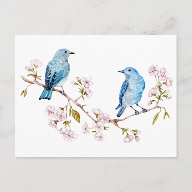 Carte Postale Bluebirds de montagne sur la branche Sakura (Devant)