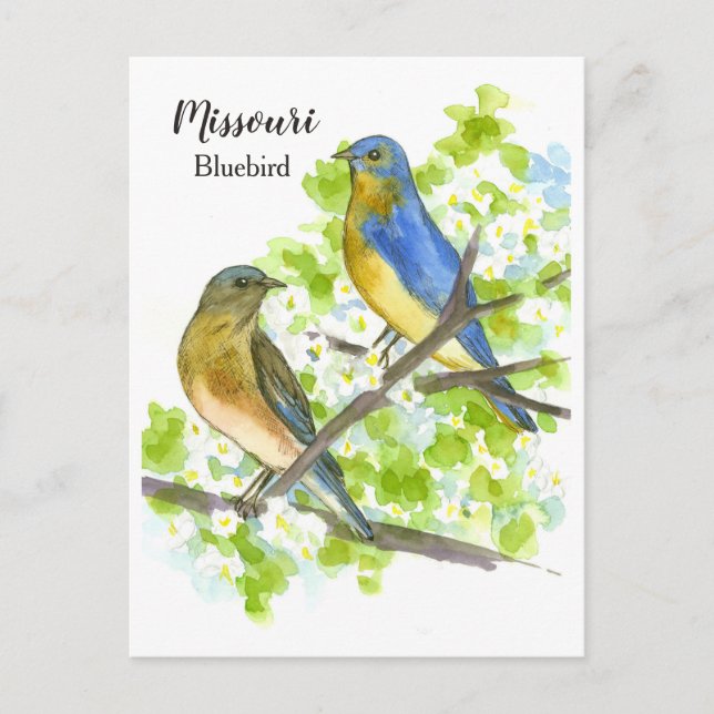 Carte Postale Bluebirds Hawthorn Tree Missouri State Bird (Devant)