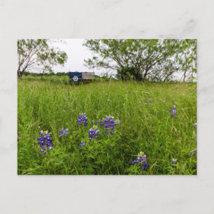 Carte Postale Bluebonnet Park, Ennis, Texas