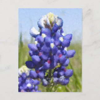 Carte Postale Bluebonnet "peint"