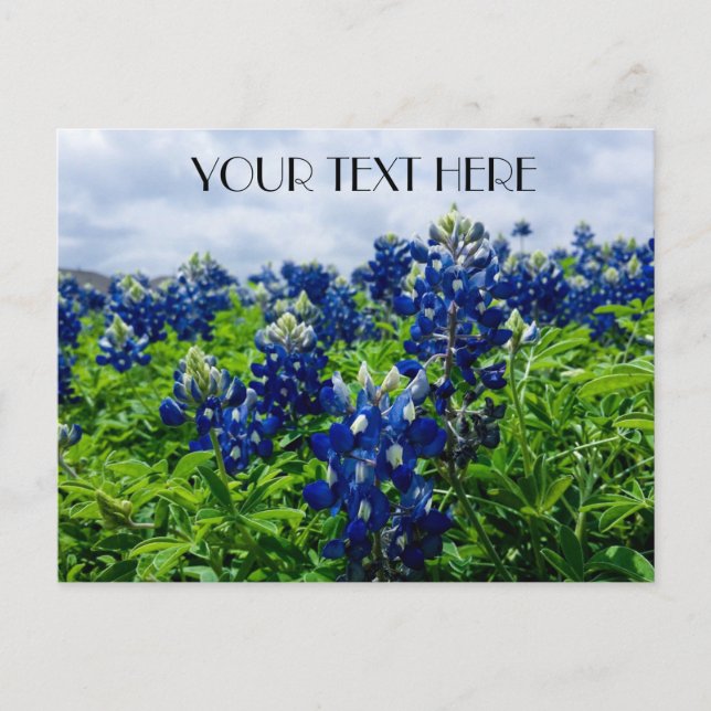 Carte Postale Bluebonnets Blue Flowers Texas texan Floral (Devant)