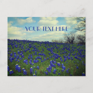 Carte Postale Bluebonnets Fleurs Bleues Texas Texan Floral