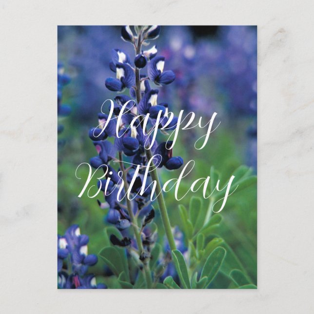 Carte Postale Bluebonnets Texas State Flower Blue Anniversaire (Devant)