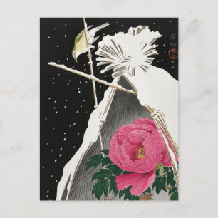 Carte Postale Bluechat de Sibérie à côté d'une pivoine par Ohara