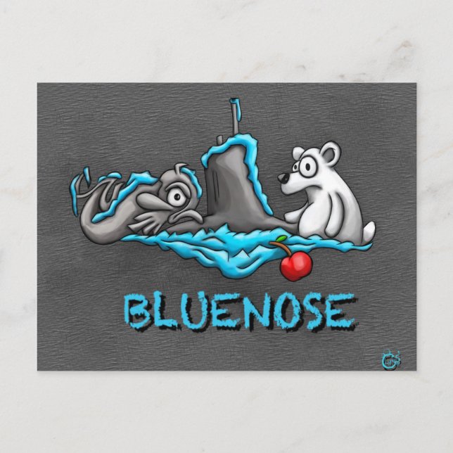 Carte postale Bluenose Phins (Devant)