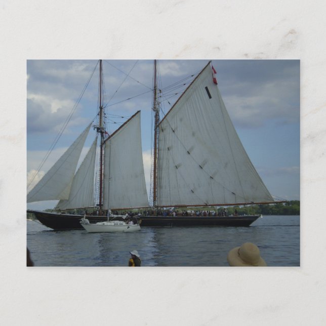 Carte postale Bluenose Schooner Tall Ship Racing (Devant)
