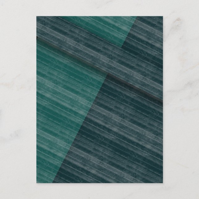 Carte Postale blues (Devant)