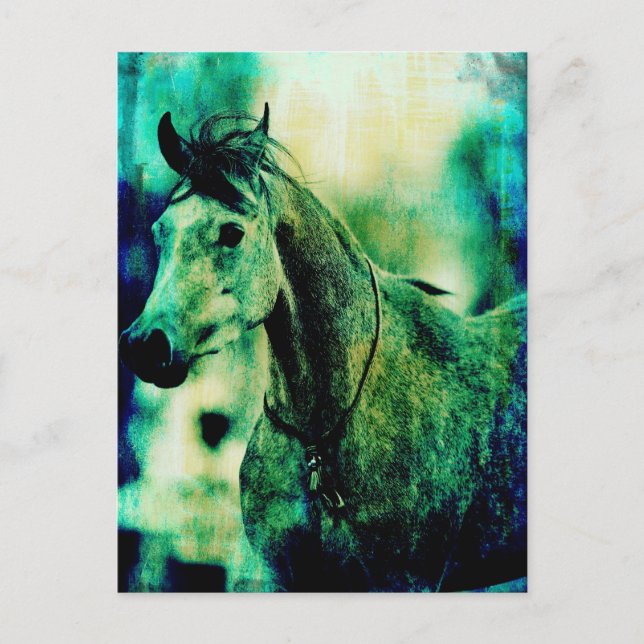 Carte Postale Blues d'Arabie (Devant)