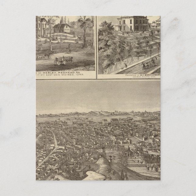 Carte Postale Bluffs du Conseil (Devant)