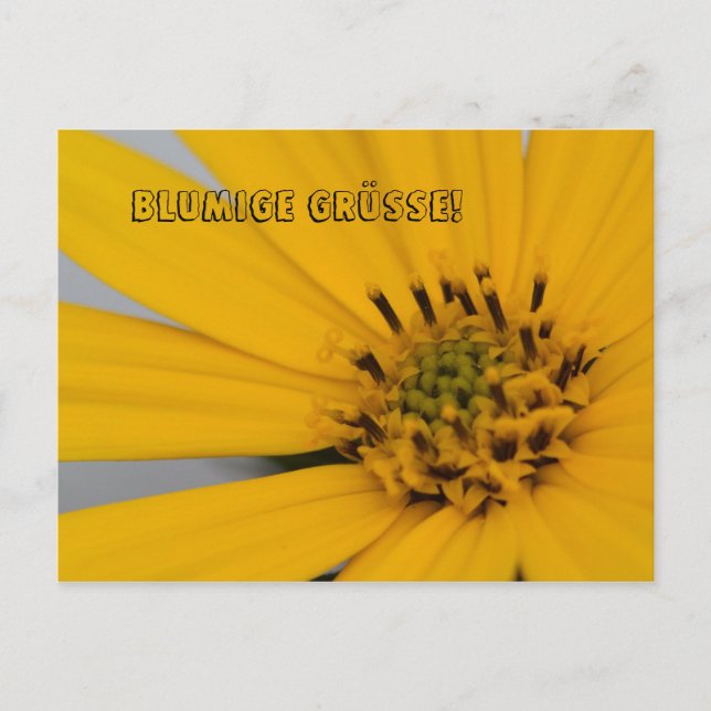 Carte Postale Blumen Gruß (Devant)