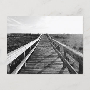 Carte Postale Boardwalk Walking Trail Floride