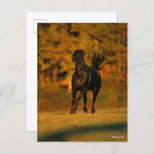 Carte Postale Bob Langrish   Black Friesian Running En Automne