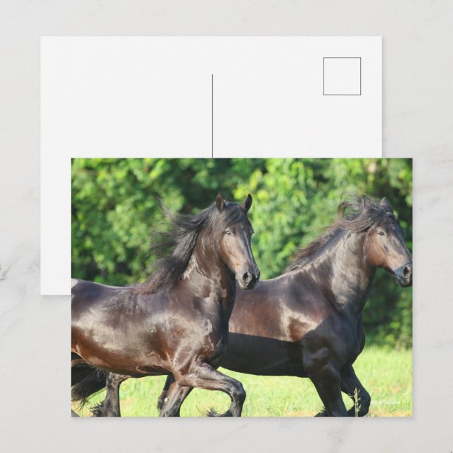 Carte Postale Bob Langrish | Deux Frères Coureurs Ensemble (Devant / Derrière)