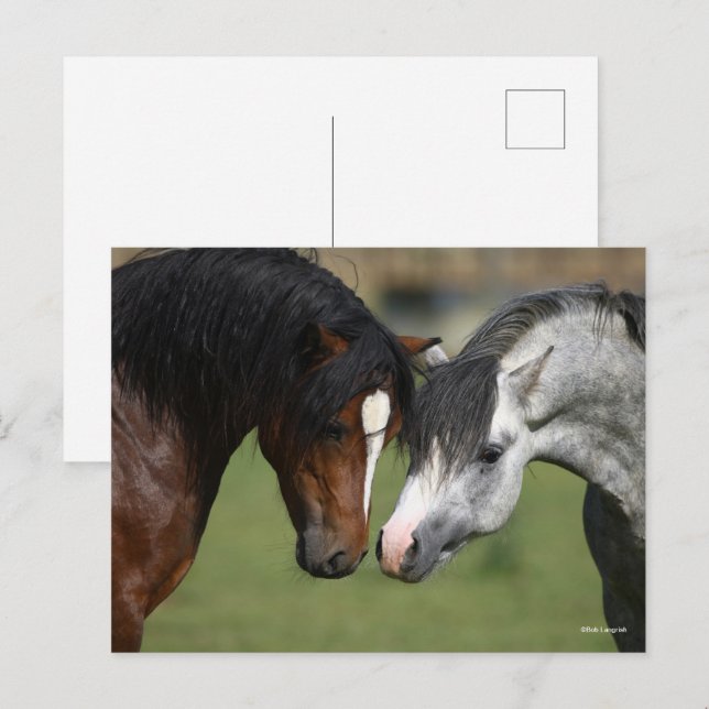 Carte Postale Bob Langrish | Deux Ponts gallois (Devant / Derrière)